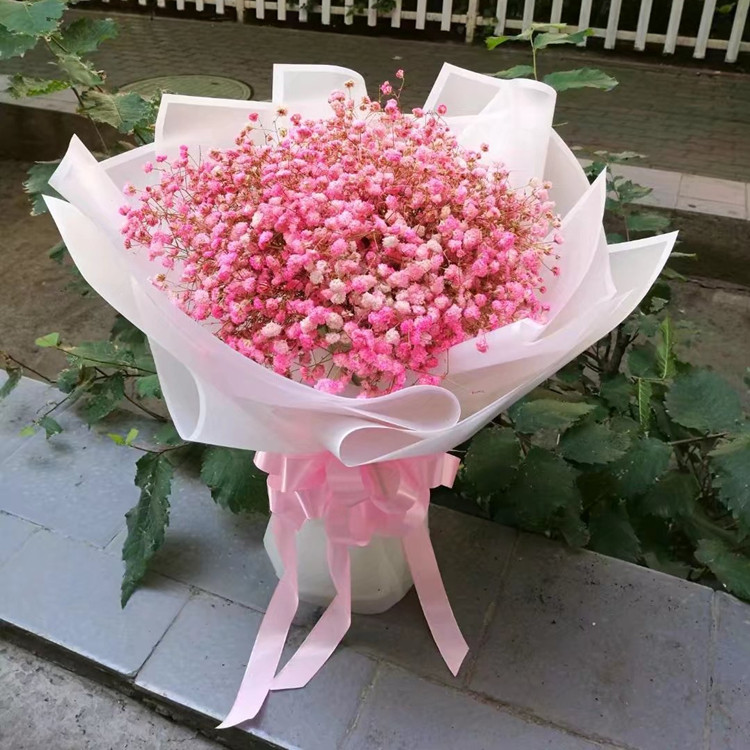 满天星漯河洛阳郑州同城鲜花速递