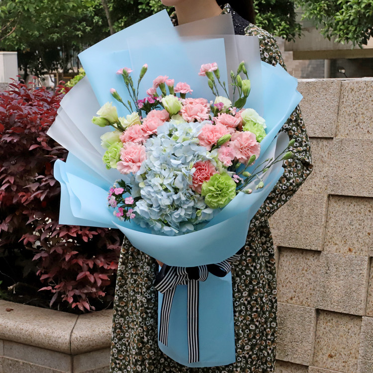 同城速递广州康乃馨祝福女王节