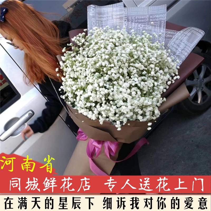 满天星漯河洛阳郑州同城鲜花速递