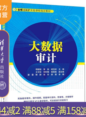 【官方正版新书】大数据审计 苟聪聪 李锐 胡玉姣 主编 王文姣 邓利梅 杨佩毅 副主编 窦蕾 赖静 张玲 谢建 参编