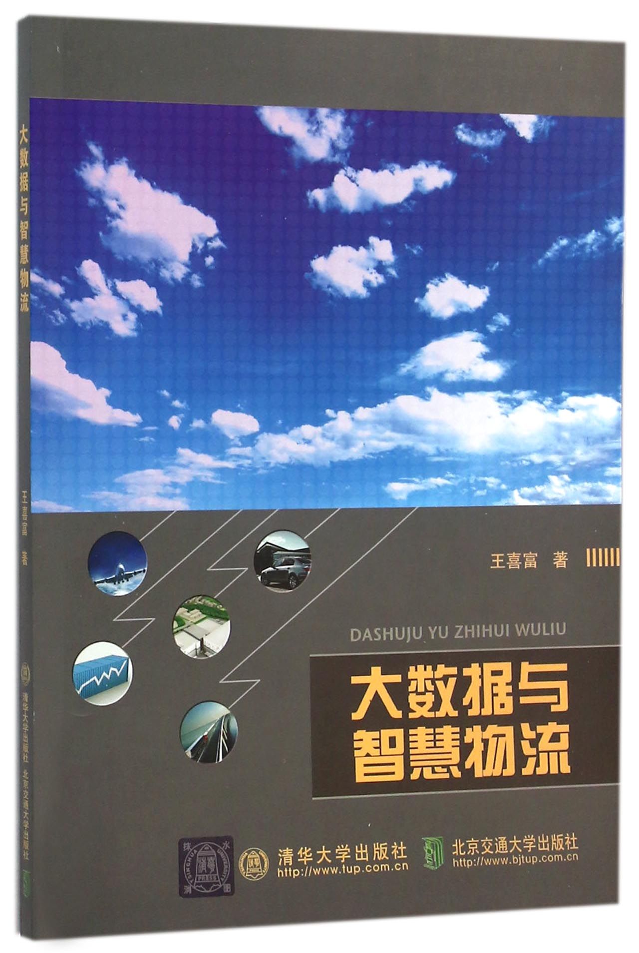 【官方正版】 大数据与智慧物流 王喜富 清华大学出版社 生产与运作管理 教材 清华大学出版社
