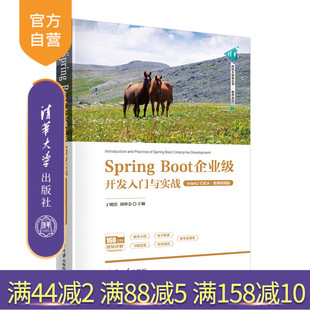 【官方正版新书】Spring Boot企业级开发入门与实战(IntelliJ IDEA·微课视频版) 丁明浩 刘仲会 清华大学出版社 -程序设计