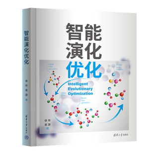 优化 智能演化优化 社 智能 徐华 新书 袁源 清华大学出版 计算机 演化 官方正版