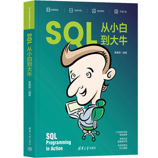 关东升 ①关系数据库系统－教材 清华大学出版 新书 SQL从小白到大牛 正版 社