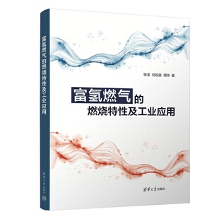 【官方正版新书】 富氢燃气的燃烧特性及工业应用 张龙、任祝寅、周华 清华大学出版社 能源工程动力工程工程热物理