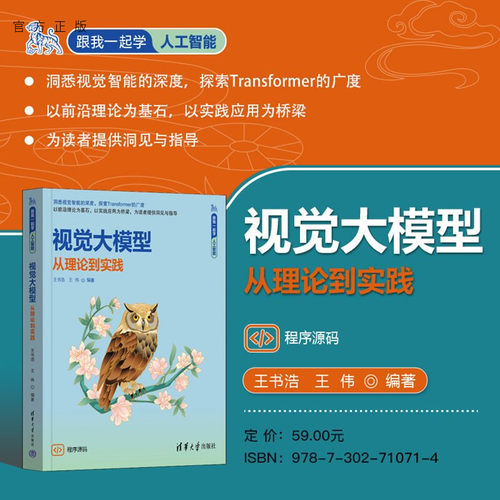 洞悉视觉智能的深度，探索Transfor