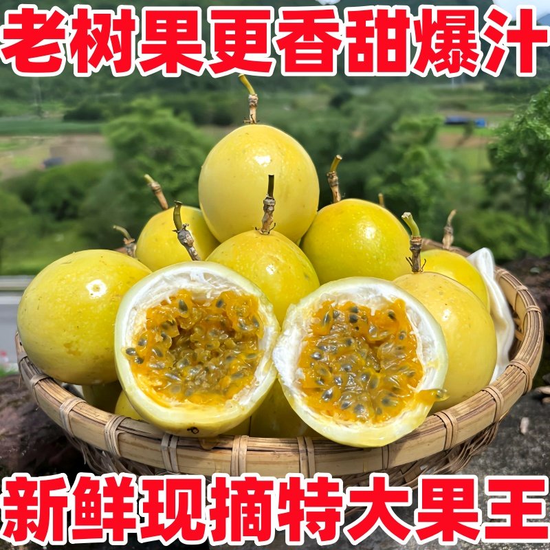 广西钦蜜9号百香果纯甜特大黄金果大果当季新鲜果酱整箱5斤包邮
