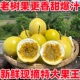 包邮 广西钦蜜9号百香果纯甜特大黄金果大果当季 新鲜果酱整箱5斤
