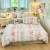 ab面纯棉牛奶绒被套四件套229x230秋冬全棉法莱绒加厚磨毛被罩248