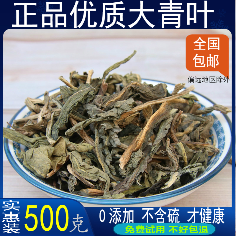 中药材 野生板蓝根叶子 大青叶茶 新鲜干货 散装 500克包邮