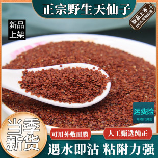中药材天仙子正宗云南天仙子药材特级南天仙子外敷面膜天仙子500g