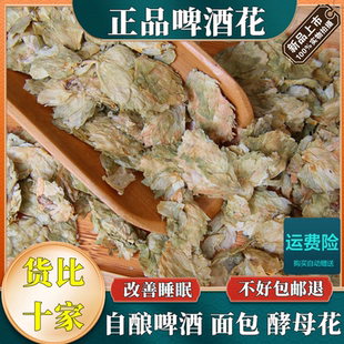 中药材啤酒花自酿啤酒酵母花面包酵母干花野酒花改善睡眠 500g