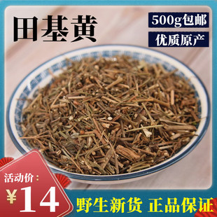 中药材 野生田基黄 地耳草 斑鸠窝 雀舌草 新鲜干货 500克包邮