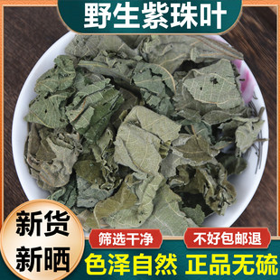 野生紫珠草紫株草中药材 止血草正品紫竹叶粉紫荆紫株叶500克包邮