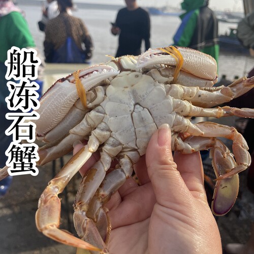 珍宝蟹