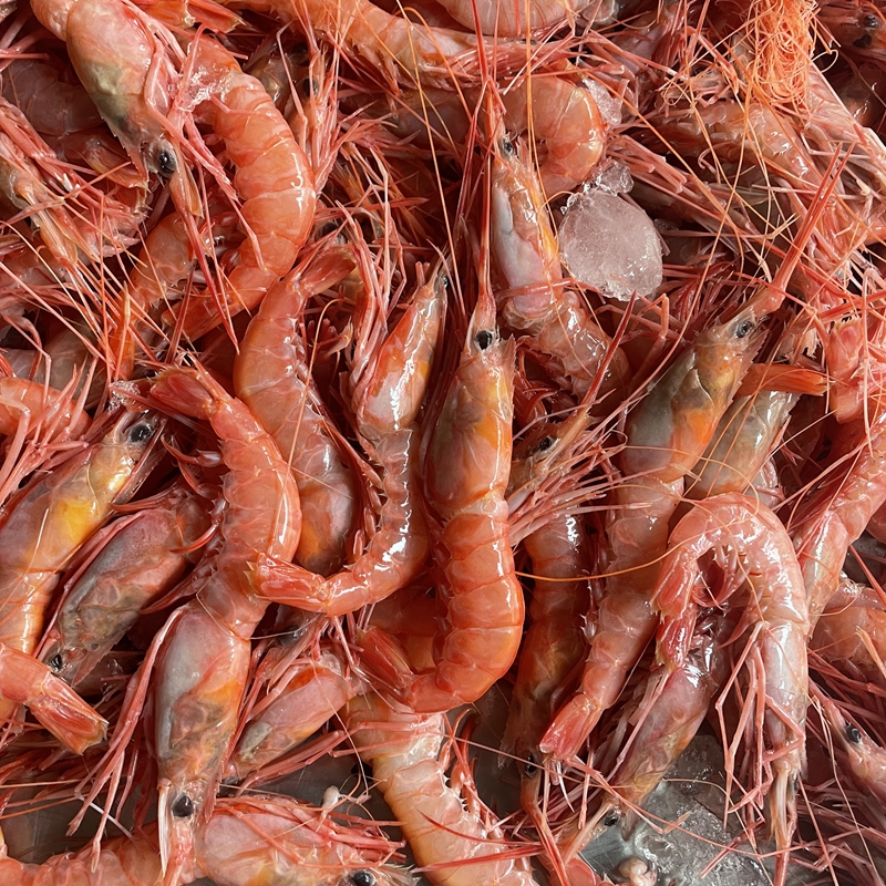 台州小海鲜 中号红虾野生海鲜甜虾 船冻 一份3斤 顺丰包邮