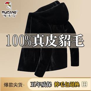 啄木鸟海宁冬季 水貂绒皮草貂皮貂绒大衣男皮毛一体外套真皮皮衣