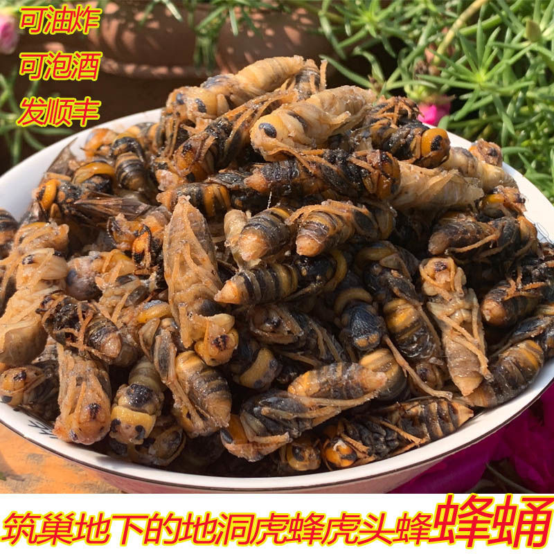 大个地龙新鲜可油炸蜂蛹