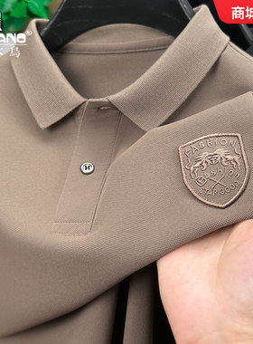 啄木鸟长袖polo衫男士2025新款休闲t恤春秋季刺绣宽松上衣打底衫