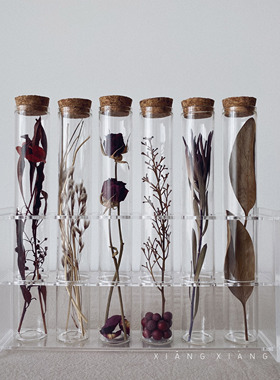 想象STUDIO玻璃试管干花植物标本家居民宿装饰摆件文艺复古伴手礼