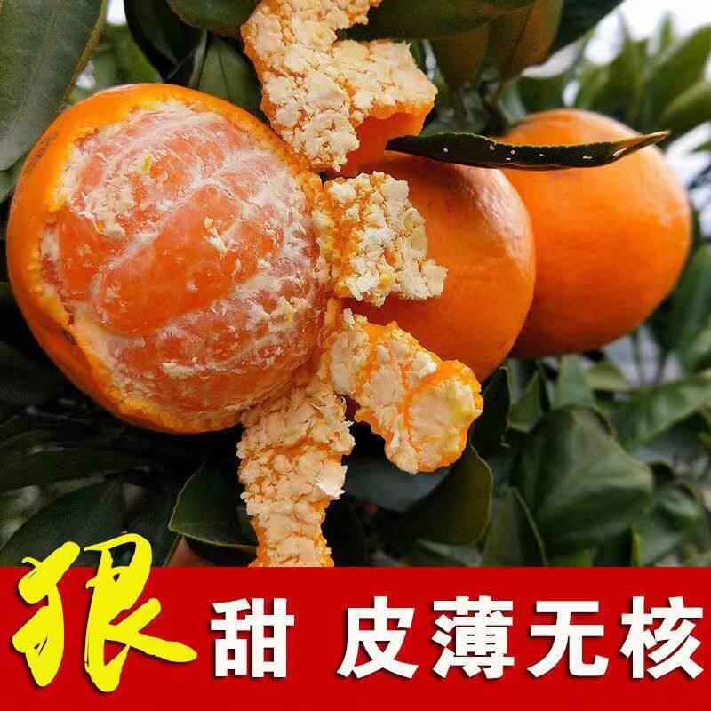 水分足甜湖南新鲜水果桔子怀化特产溆浦大江口蜜桔橘子10斤装天然