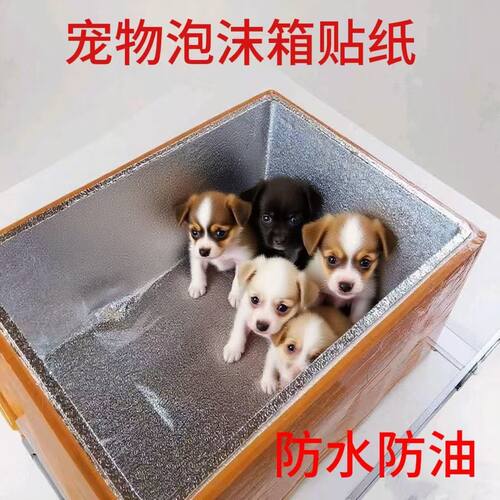 室外防水防雨保暖纸箱DIY