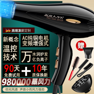 德国大功率家用发廊美发沙龙专用电吹风机9800高速负离子护发静音