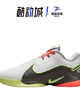 Nike/耐克 LBJ22代 勒布朗詹姆斯男子低帮气垫篮球鞋 FZ1095-101