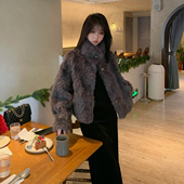 2025冬季 立领环保小湖羊皮毛一体女短款 小个子仿皮草外套毛毛上衣