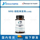 现货 DFH NRG线粒体支持胶囊细胞能量身体活力