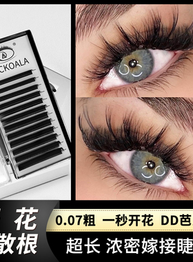 欧美风0.07cc多根取毛浓密美睫师嫁接睫毛芭比翘一秒开花混血DD
