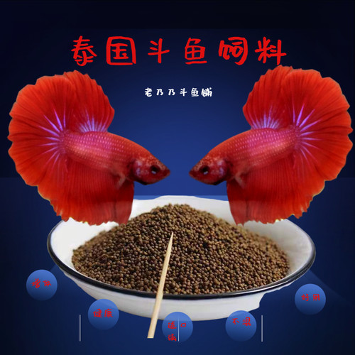 颗粒泰国鱼食斗鱼不易喷油上浮