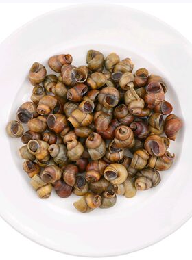 哈哈镜卤味麻辣食品铺满顺丰田螺