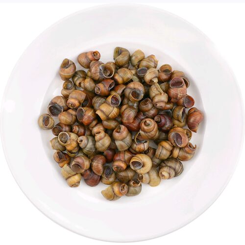 哈哈镜卤味麻辣食品铺满顺丰田螺
