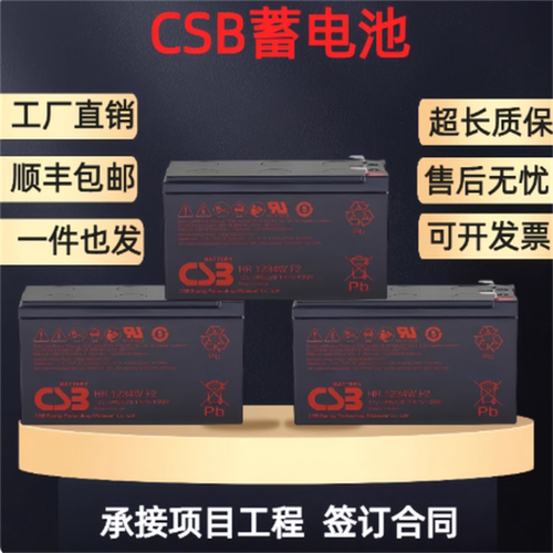CSB蓄电池电梯门禁消防照明主机