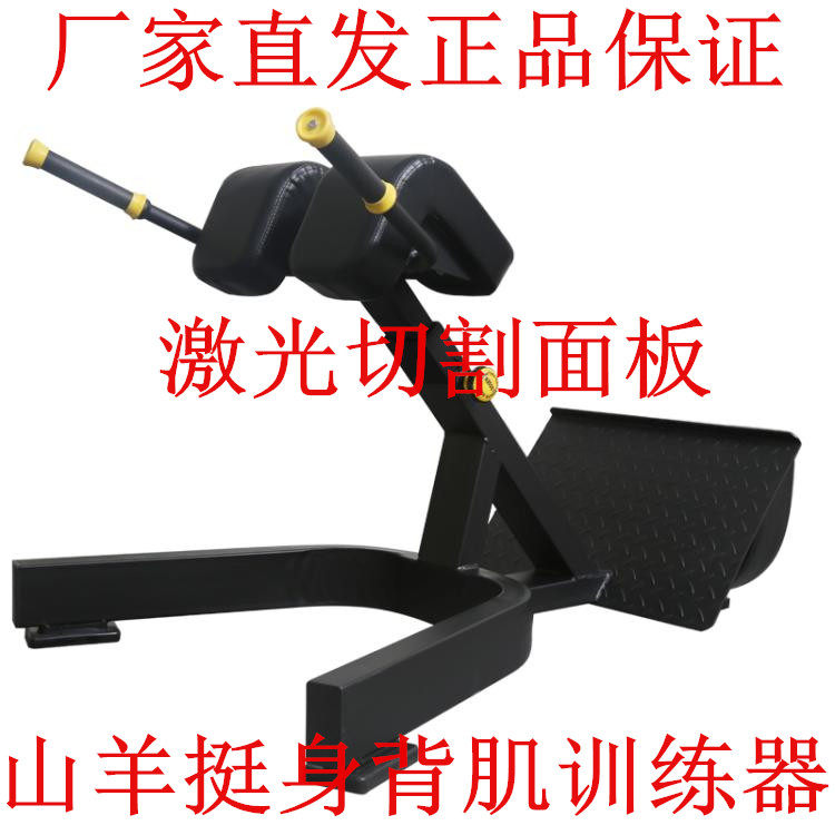 韦步罗马椅腰腹训练山羊挺身