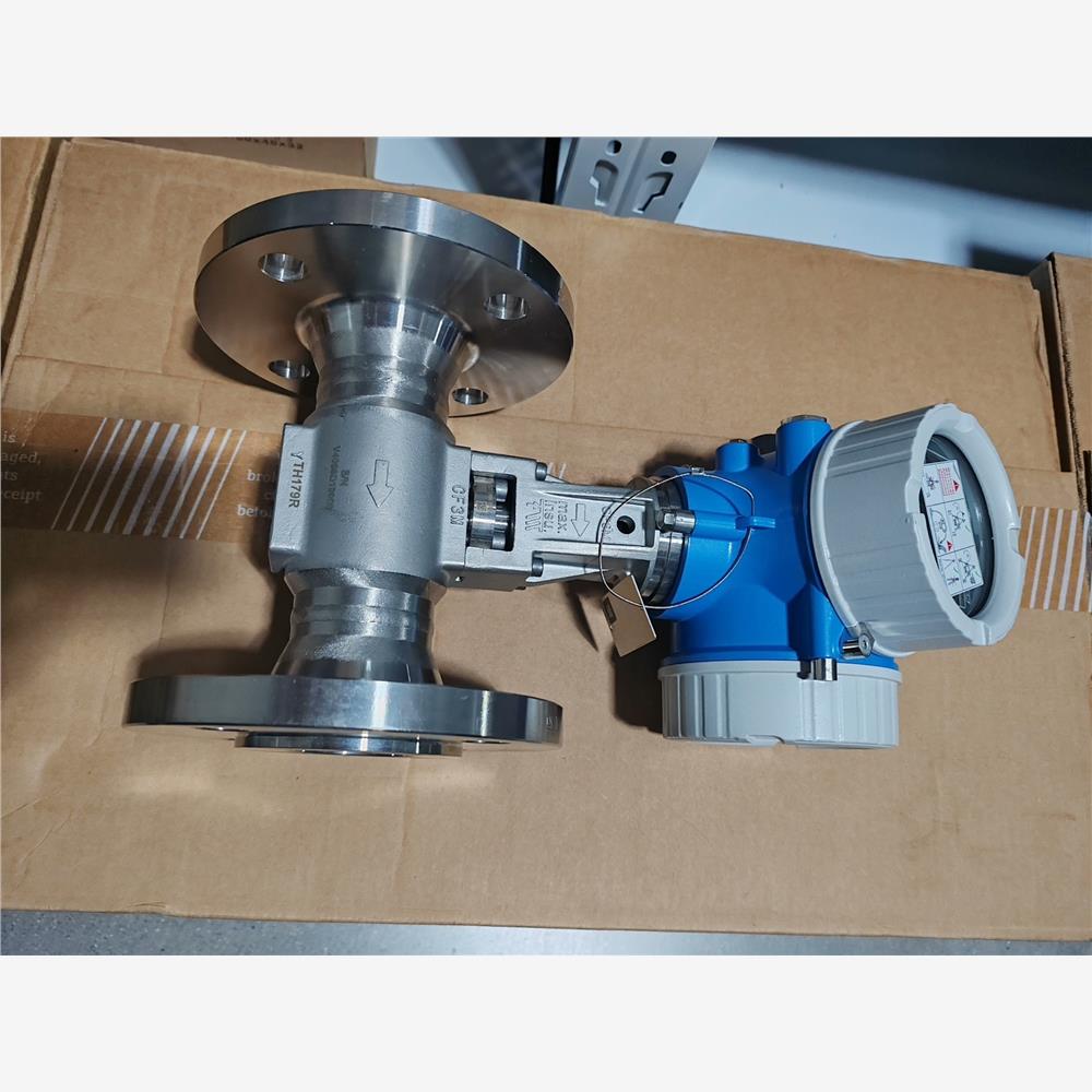 【维修】E+H涡街流量计7F