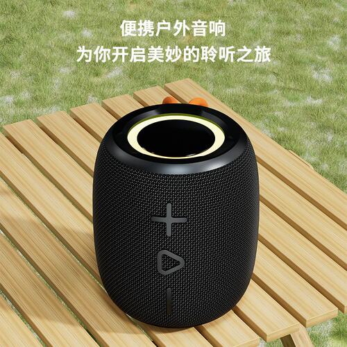政府补贴德国进口十大名牌柏林之声蓝牙音箱无线户外氛围感便携炫
