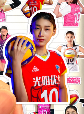 金软景贴纸高清防水韩国女子排球运动员Kim Yeon koung金哥装饰画