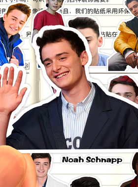 诺亚施纳普贴纸高清防水美国演员Noah Schnapp怪奇物语收藏粘贴画