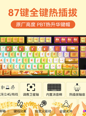 创祥C87五孔轴座插拔机械键盘RGB光可驱动编程PBT热升华主题键帽