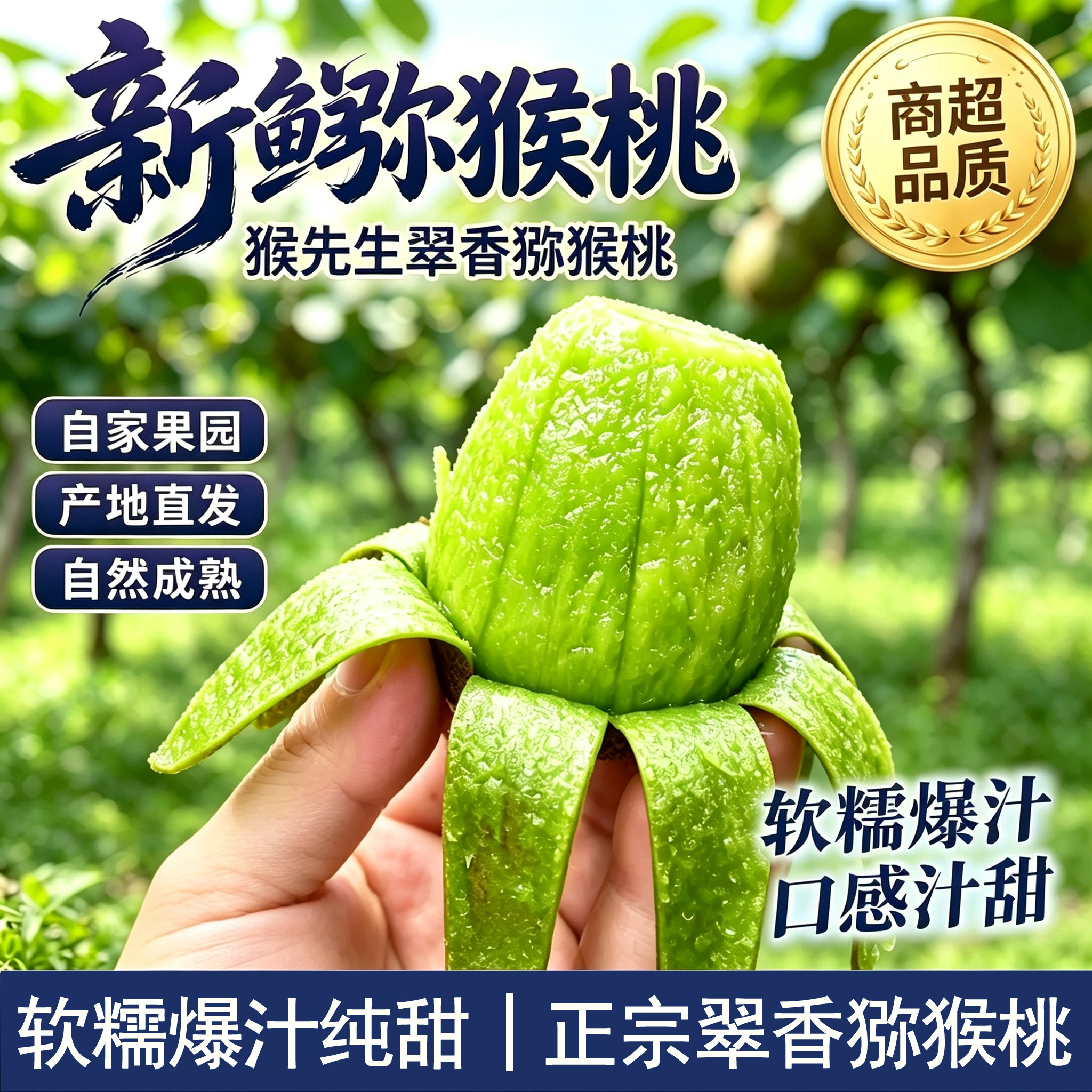 新鲜翠香猕猴桃9月1日正式发货