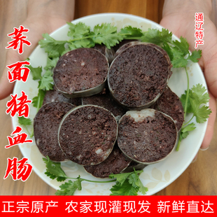 正宗内蒙古通辽荞面猪血肠东北纯血肠赤峰猪血荞面肠农家自制灌肠