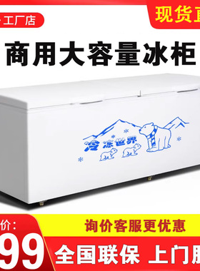 冰柜商用大容量冰箱家用冷藏保鲜冷冻两用卧式冷柜单双温雪柜