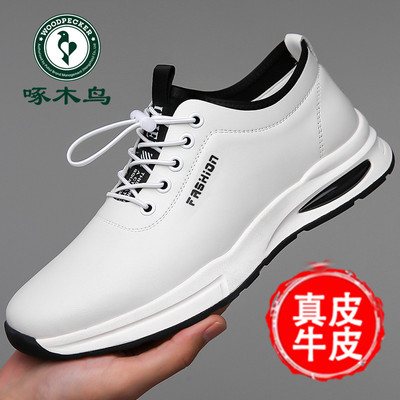 啄木鸟男鞋2025夏季新款真皮休闲鞋潮流百搭透气小白鞋增高皮鞋男