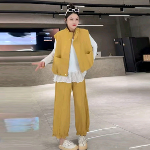 胖mm显瘦百搭花边打底衫 遮肉春季 立领拉链马甲宽松休闲裤 女装 大码