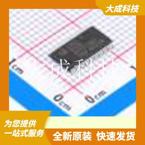 XMC1301-T038F0032 AB 原装正品 CPU内核