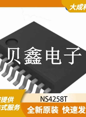 音频功率放大器 NS4258T 原装正品 eTSSOP20_6.5X4.4MM