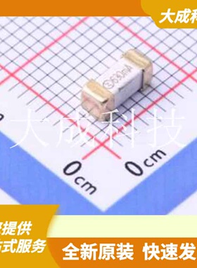 SST0630 原装正品 慢断 镀金贴片保险丝