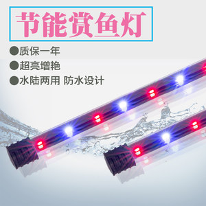 旺通三基色水中灯价格 旺通三基色水中灯图片 星期三